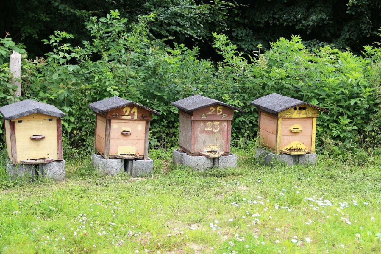 Kantonia Bobolice  Экстерьер фото