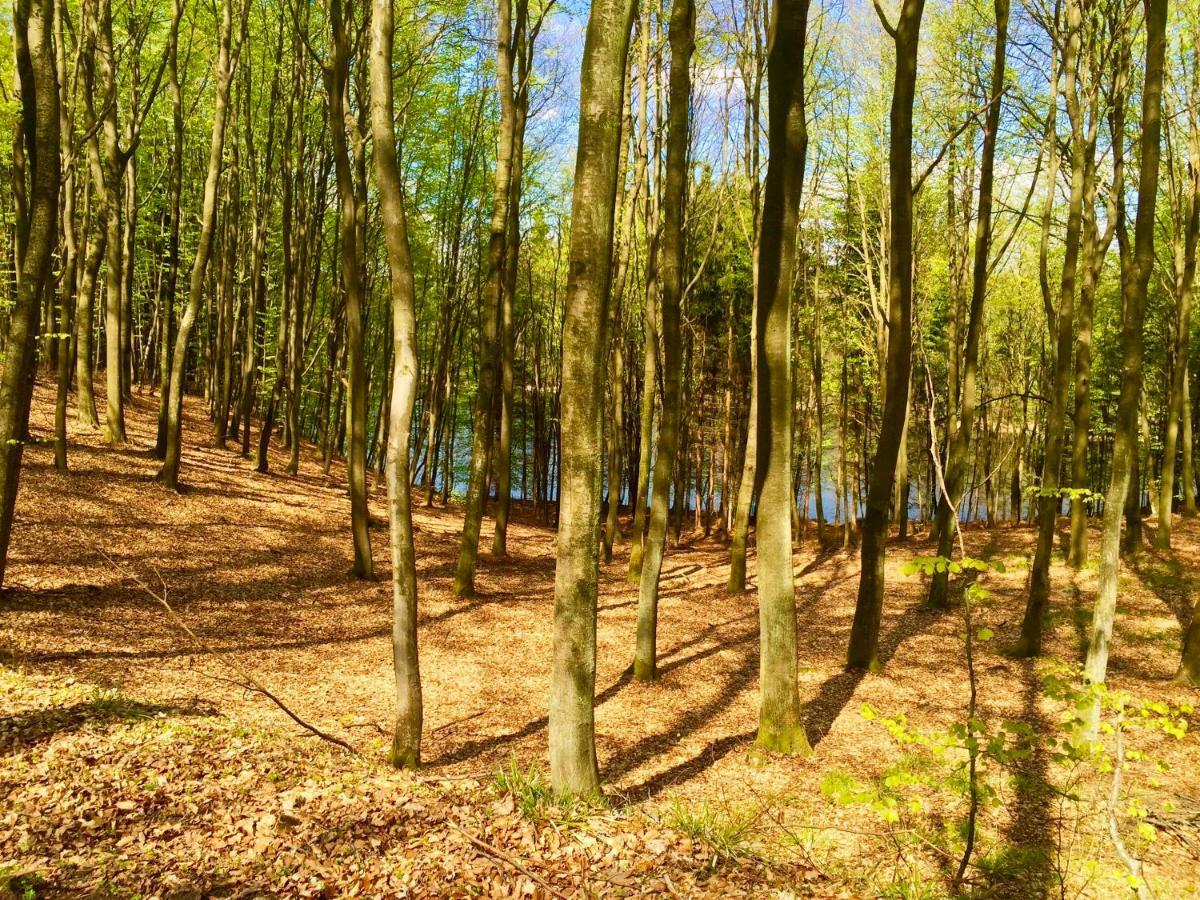 Kantonia Bobolice  Экстерьер фото